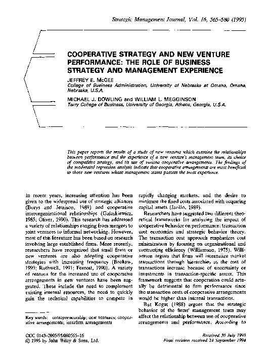 Bsg strategy for achieving performance targets picture