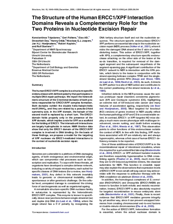 (PDF) The Structure of the Human ERCC1/XPF Interaction Domains Reveals ...