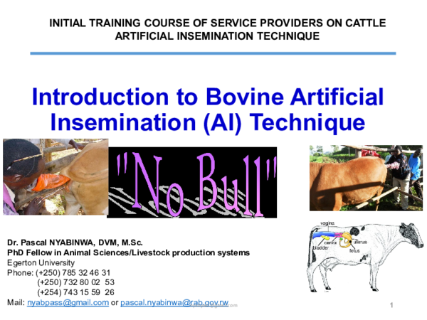 (PDF) Introduction to Bovine Artificial Insemination (AI) Technique 1
