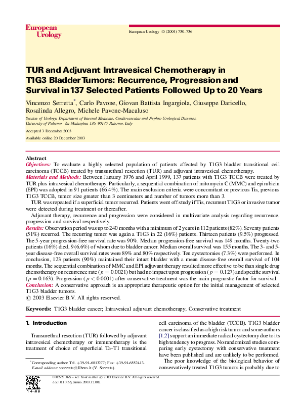 (PDF) TUR and Adjuvant Intravesical Chemotherapy in T1G3 Bladder Tumors ...