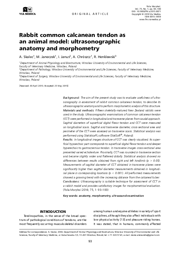 (PDF) Rabbit common calcanean tendon as an animal model ...