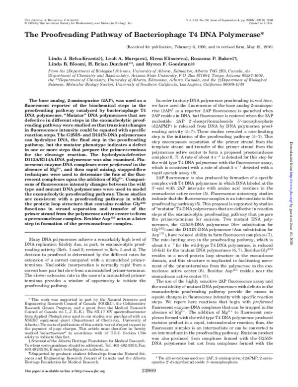 (PDF) The proofreading pathway of bacteriophage T4 DNA polymerase