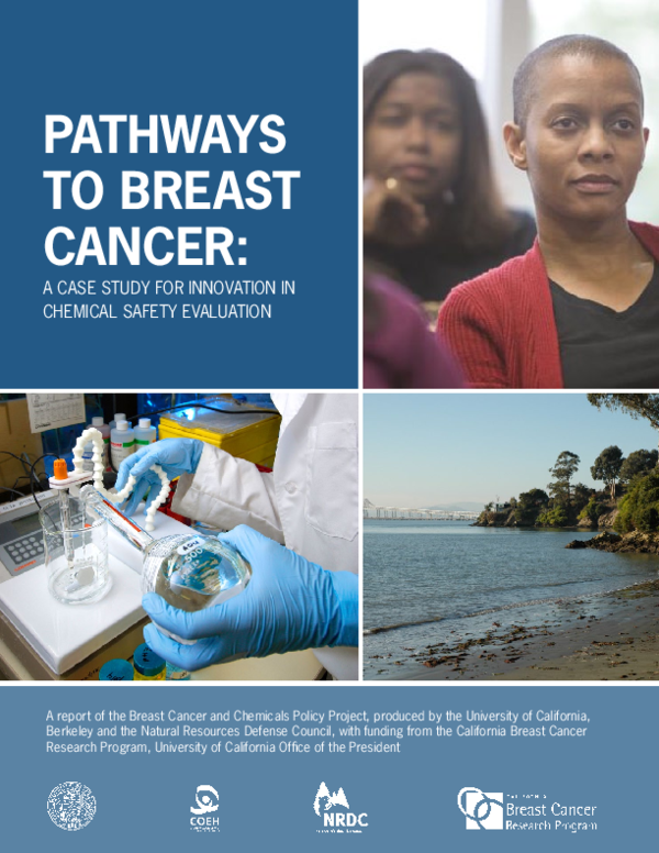 (PDF) Pathways To Breast Cancer Report: A case study for innovation in ...