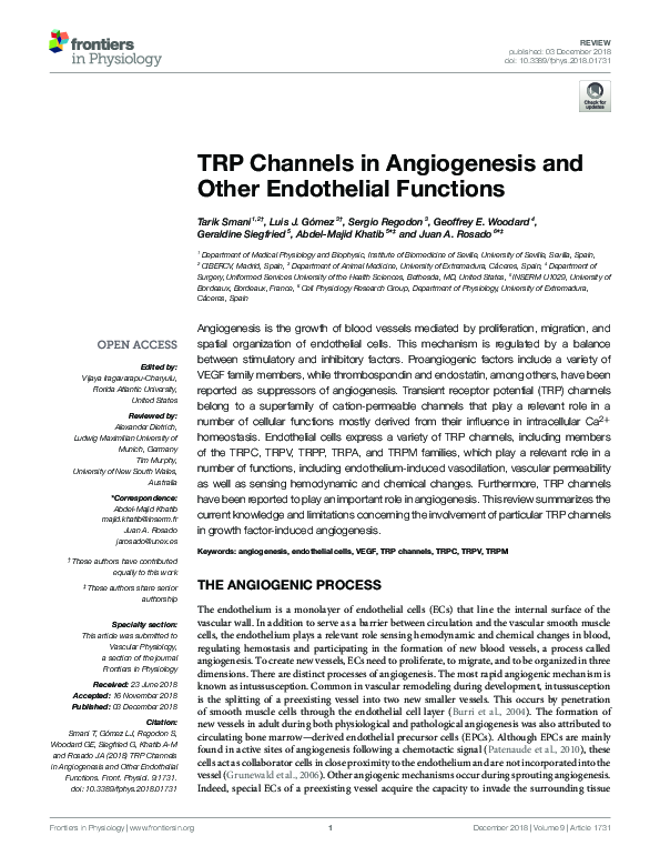 (PDF) TRP Channels in Angiogenesis and Other Endothelial Functions