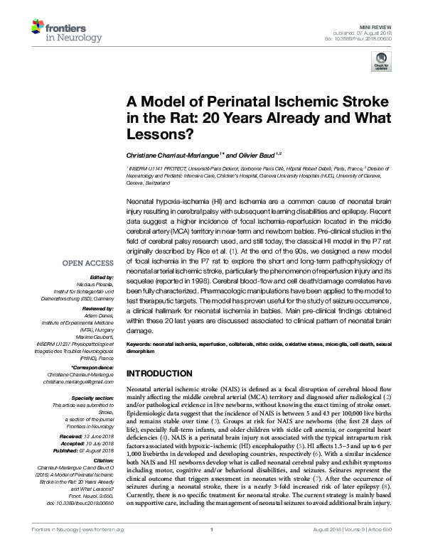 (PDF) A Model of Perinatal Ischemic Stroke in the Rat: 20 Years Already ...