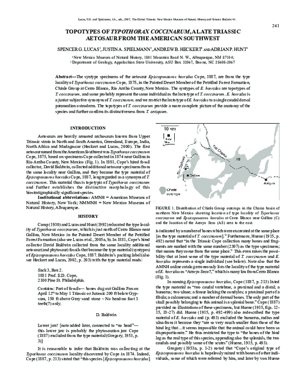 (PDF) Topotypes of Typothorax coccinarum, a Late Triassic aetosaur from ...