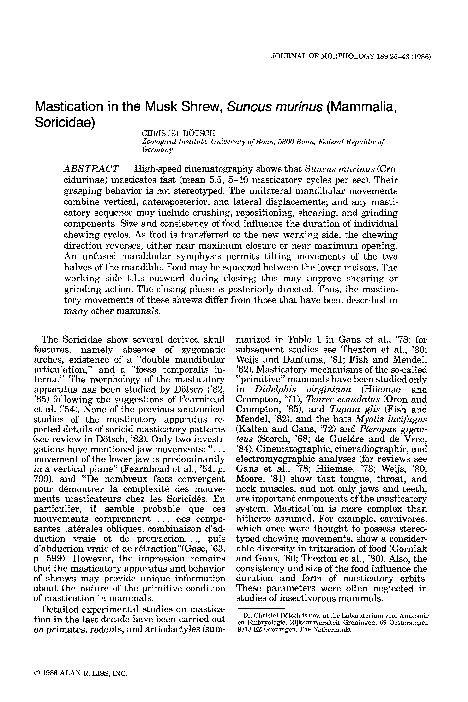 (PDF) Mastication in the musk shrew, Suncus murinus (Mammalia, Soricidae)