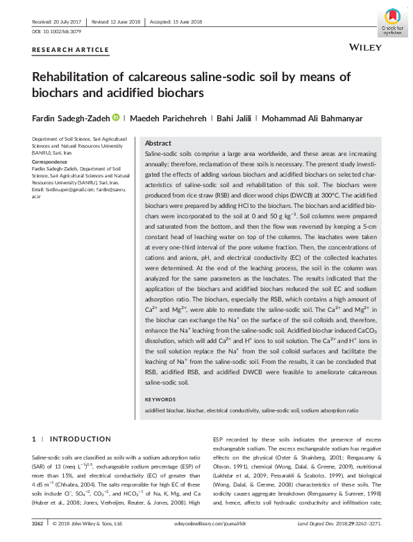 (PDF) Rehabilitation of calcareous saline-sodic soil by means of ...