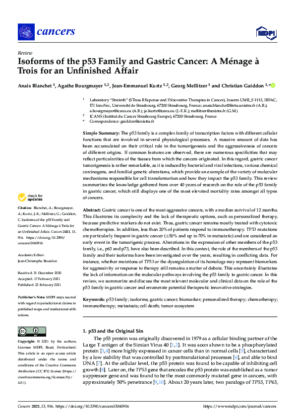 (PDF) Isoforms of the p53 Family and Gastric Cancer: A Ménage à Trois ...