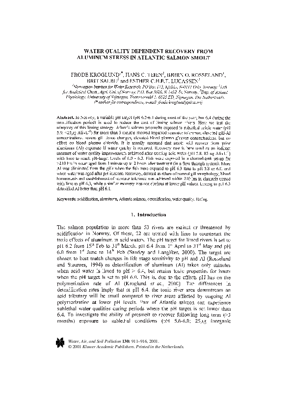 Salmon recovery essay 06 image