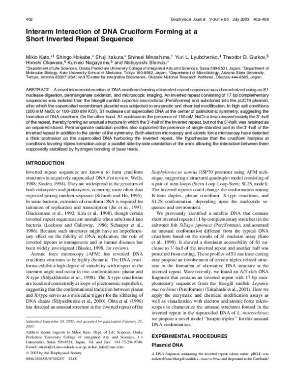 (PDF) Interarm Interaction of DNA Cruciform Forming at a Short Inverted ...