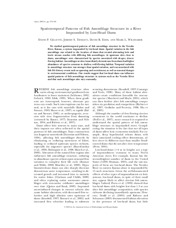 (PDF) Spatiotemporal Patterns of Fish Assemblage Structure in a River ...