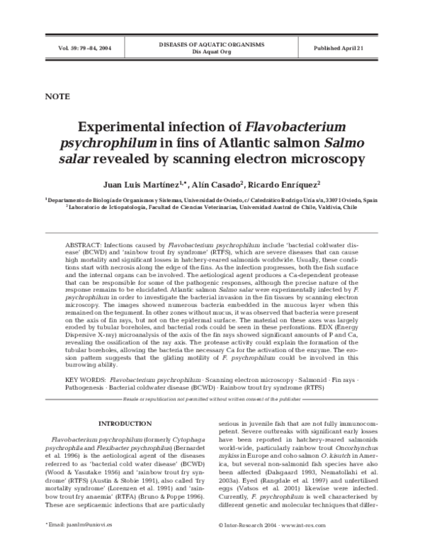 (PDF) Experimental infection of Flavobacterium psychrophilum in fins of ...