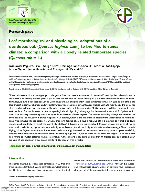 (PDF) Leaf morphological and physiological adaptations of a deciduous ...