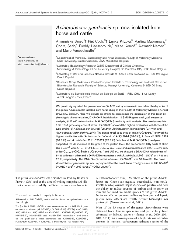 (PDF) Acinetobacter gandensis sp. nov. isolated from horse and cattle