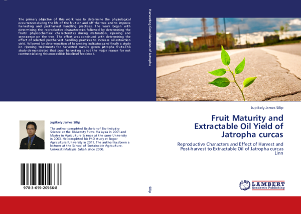 (PDF) Fruit Maturity and Extractable Oil Yield of Jatropha curcas