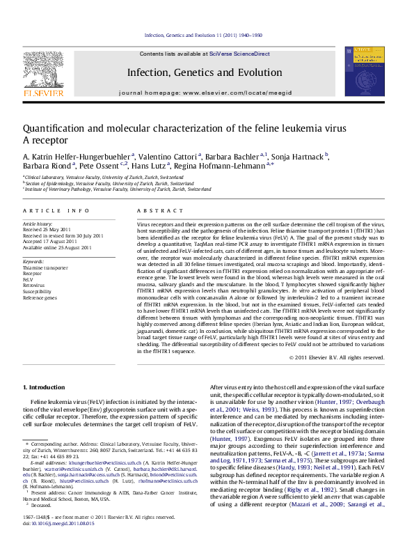 Picture Idea: Pdf Quantification And Molecular Characterization Of The Feline