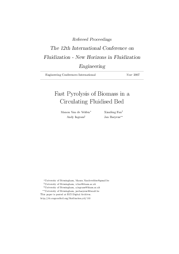 (PDF) Fast Pyrolysis of Biomass in a Circulating Fluidised Bed
