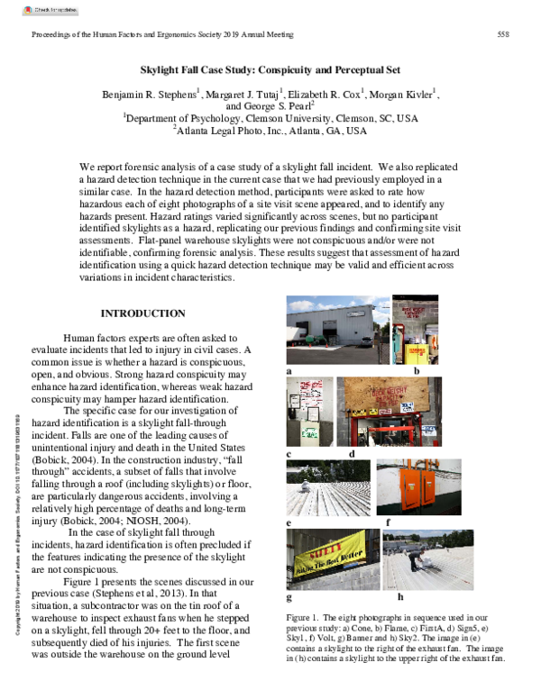 (PDF) Skylight Fall Case Study: Conspicuity and Perceptual Set
