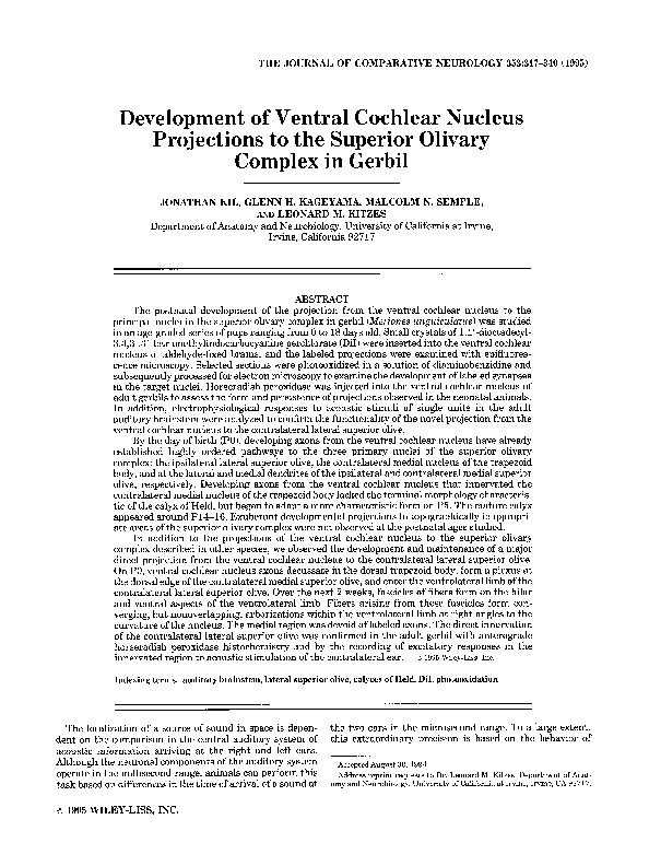 (PDF) Development of ventral cochlear nucleus projections to the ...