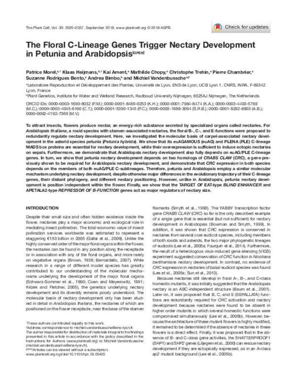 (PDF) The Floral C-Lineage Genes Trigger Nectary Development in Petunia ...