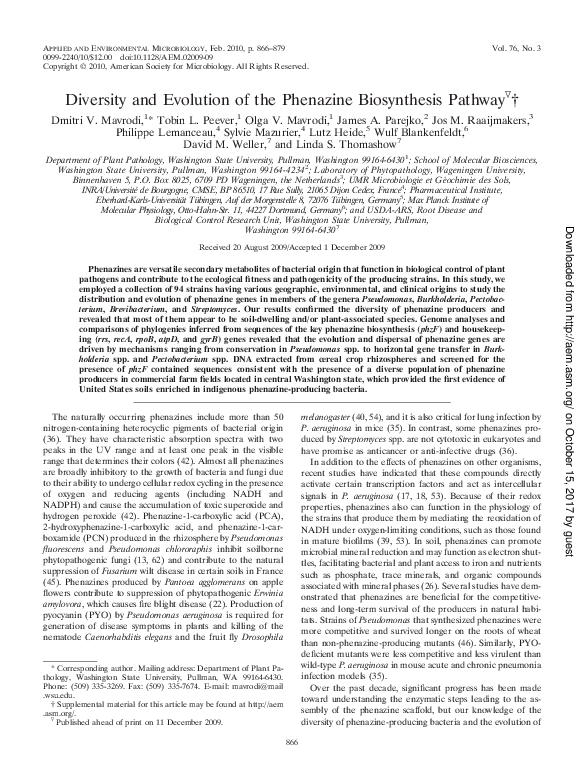 (PDF) Diversity and Evolution of the Phenazine Biosynthesis Pathway