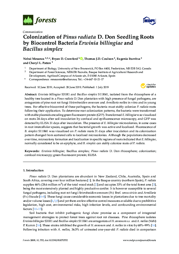 (PDF) Colonization of Pinus radiata D. Don Seedling Roots by Biocontrol ...