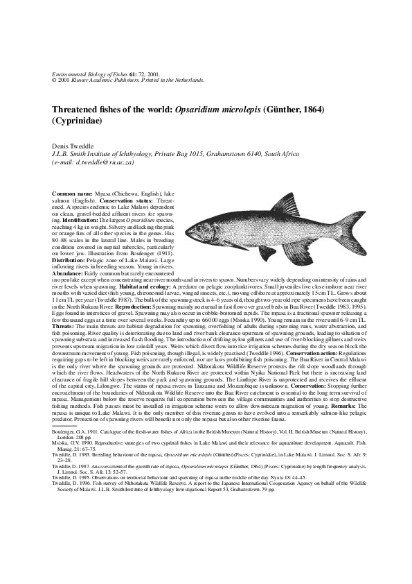 (PDF) Threatened Fishes of the World: Opsaridium microlepis (Günther ...