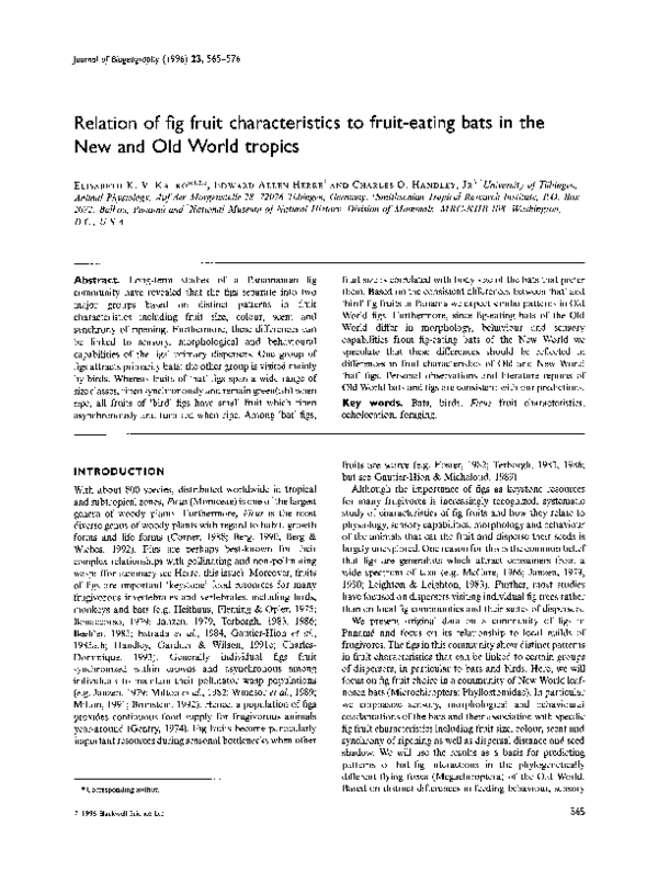 (PDF) Relation of fig fruit characteristics to fruiteating bats in the