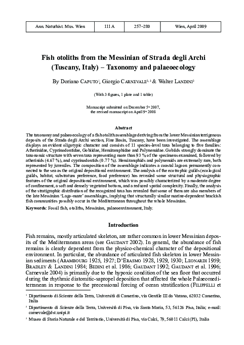 (PDF) Fish otoliths from the Messinian of Strada degli Archi (Tuscany ...