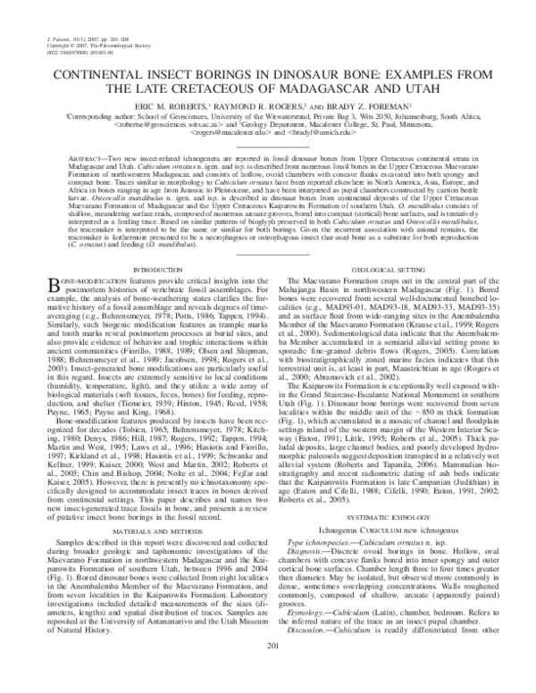 (PDF) Continental insect borings in dinosaur bone: examples from the ...