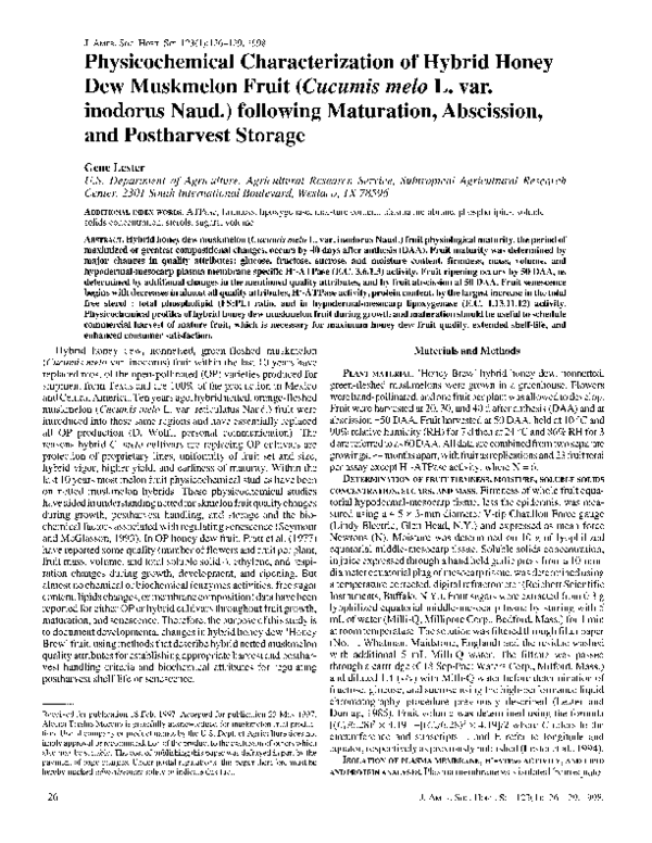 Study of cucumis melo var golden queen essay 07 picture