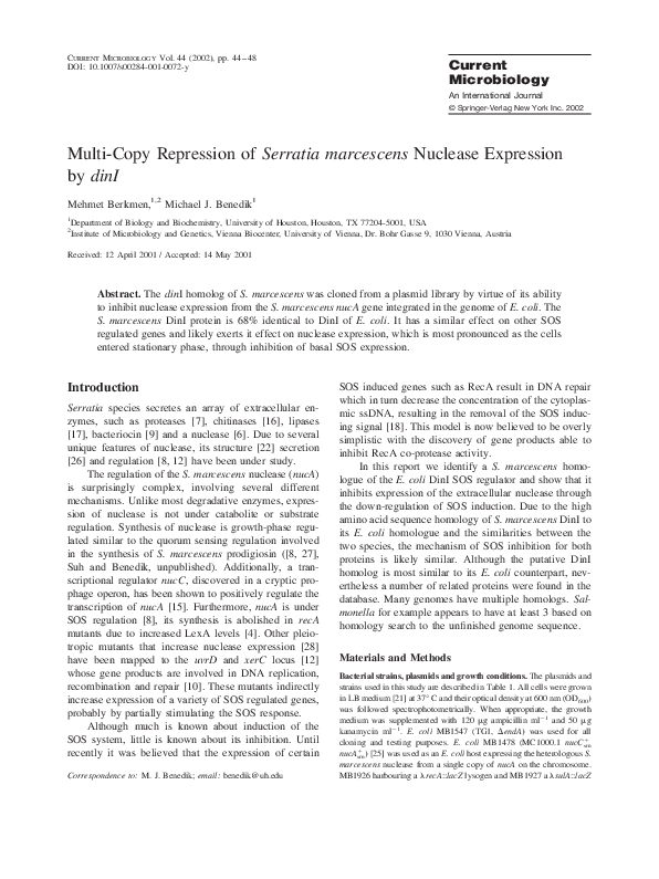 Serratia marcescens ciprofloxacin picture