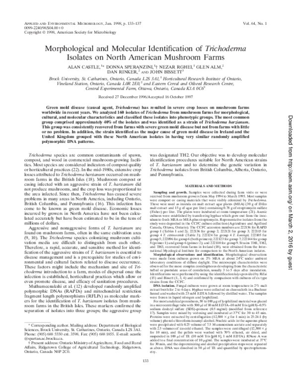 (PDF) Morphological and Molecular Identification of Trichoderma ...