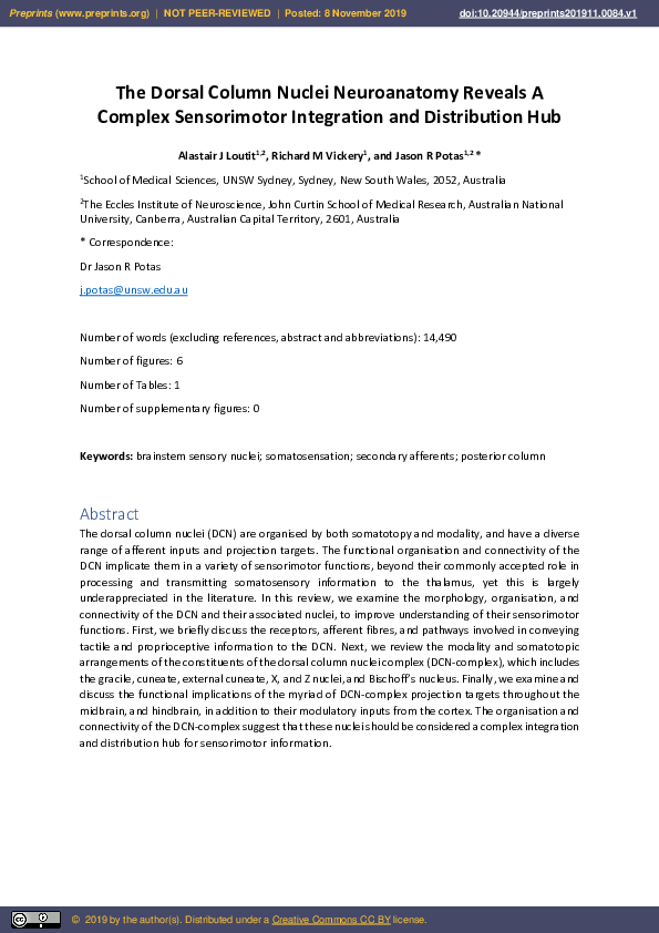 (PDF) The Dorsal Column Nuclei Neuroanatomy Reveals A Complex ...