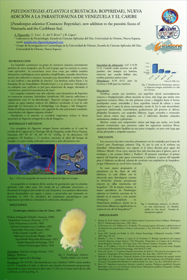 (PDF) Pseudostegias atlantica (Crustacea: Bopyridae), nueva adición a ...