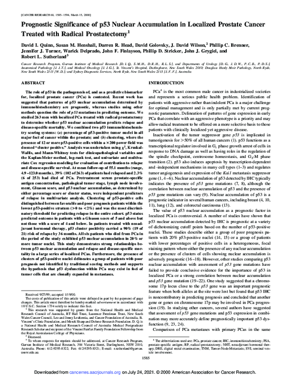 (PDF) Prognostic Significance of p53 Nuclear Accumulation in Localized ...