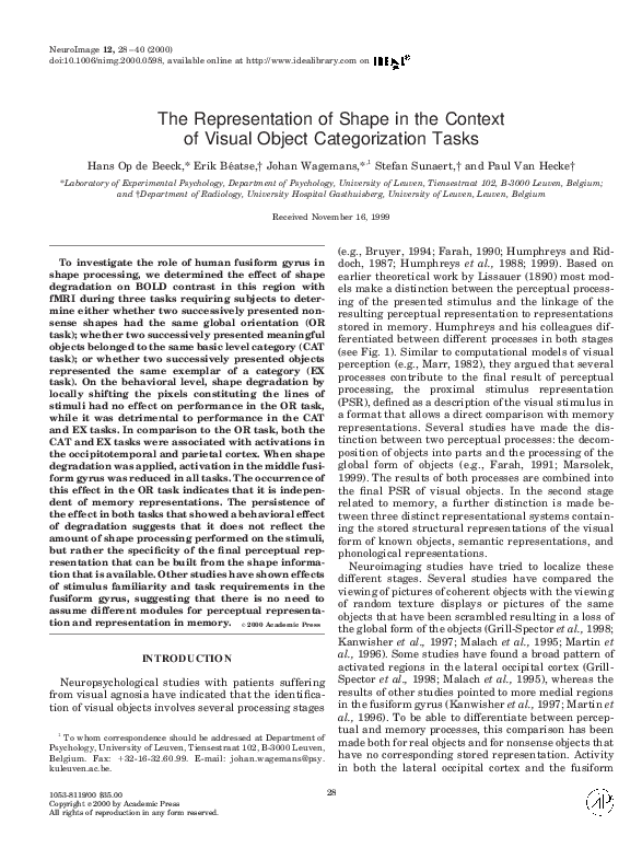(PDF) The representation of shape in the context of visual object ...