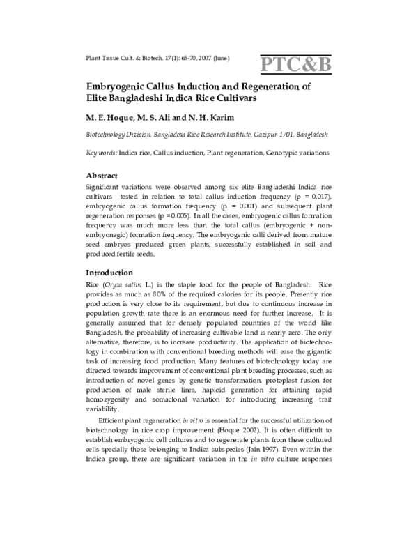 (PDF) Embryogenic callus induction and regeneration of elite ...