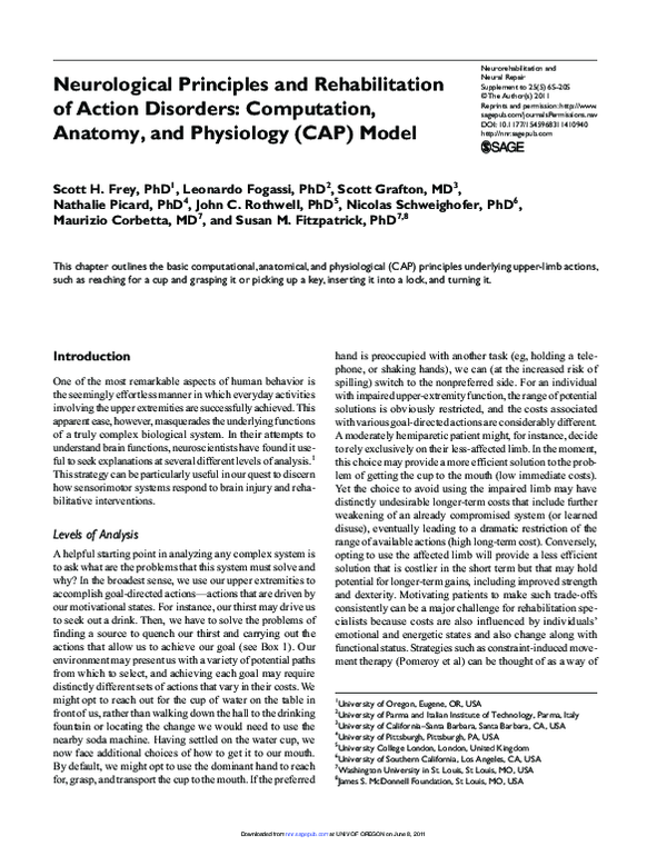 (PDF) Neurological Principles and Rehabilitation of Action Disorders
