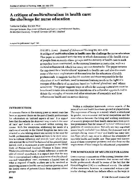 Multicultural society essay image