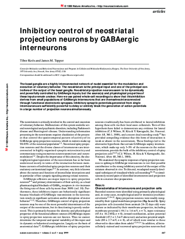 (PDF) Inhibitory control of neostriatal projection neurons by GABAergic ...