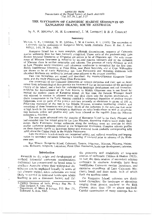 South Of Broad PDF Free Download South Of Broad PDF Free Download