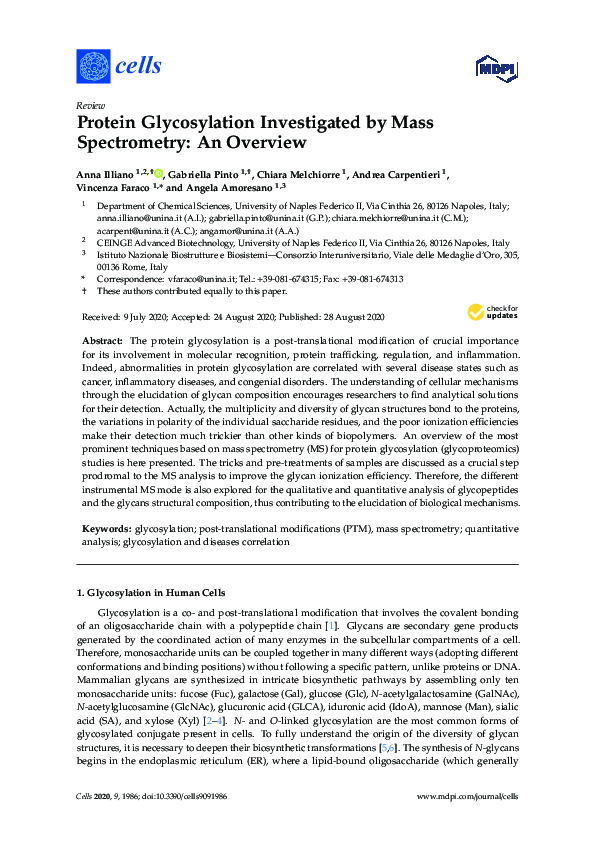 (PDF) Protein Glycosylation Investigated by Mass Spectrometry: An Overview