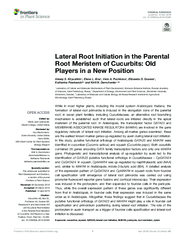 (PDF) Lateral Root Initiation in the Parental Root Meristem of ...