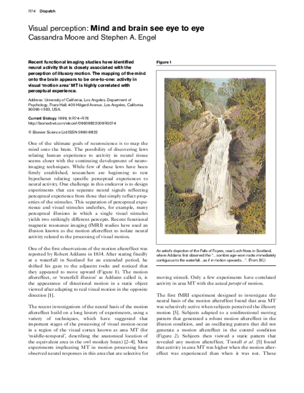 (PDF) Visual perception: mind and brain see eye to eye