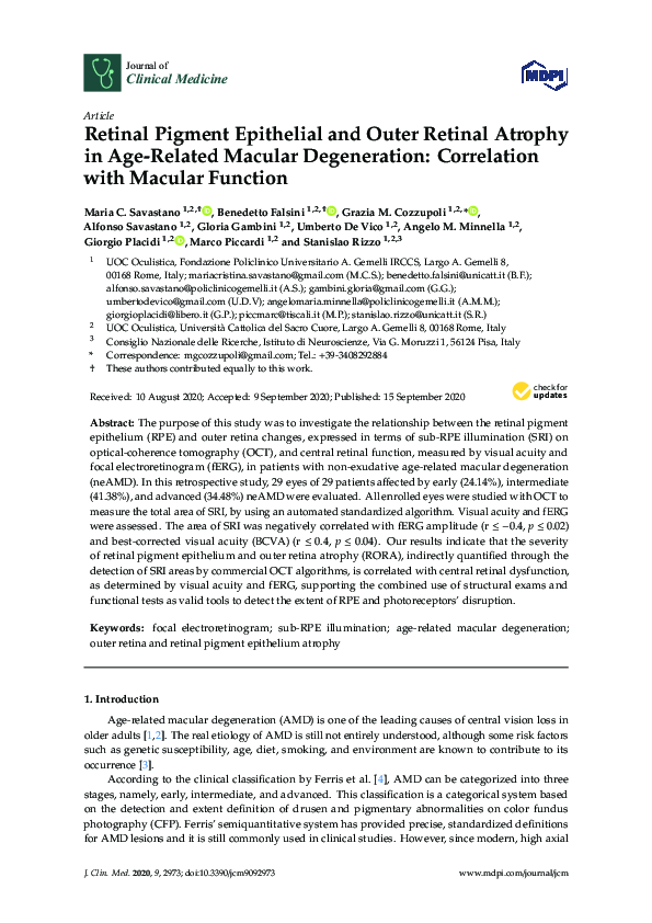 (PDF) Retinal Pigment Epithelial and Outer Retinal Atrophy in Age ...