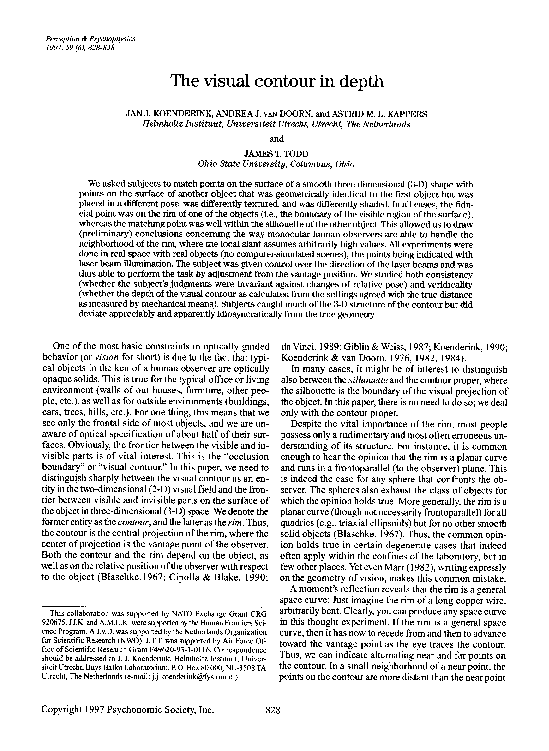 (PDF) The visual contour in depth