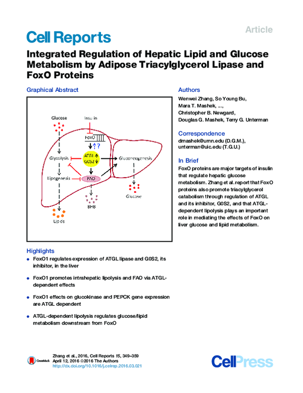 (PDF) Integrated Regulation of Hepatic Lipid and Glucose Metabolism by ...