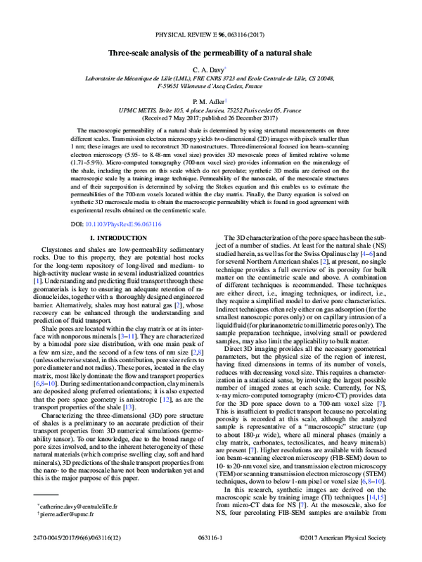 (PDF) Three-scale analysis of the permeability of a natural shale